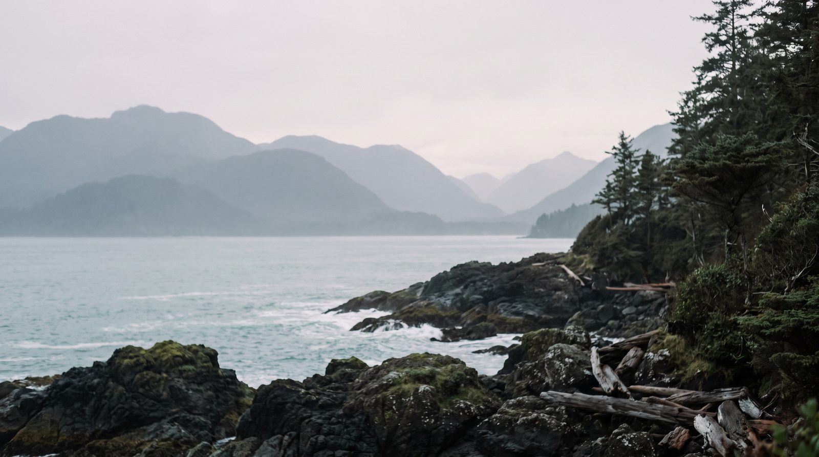Muted Pacific coastal landscape representing Coast Health Consulting's regional coverage in Hawaii